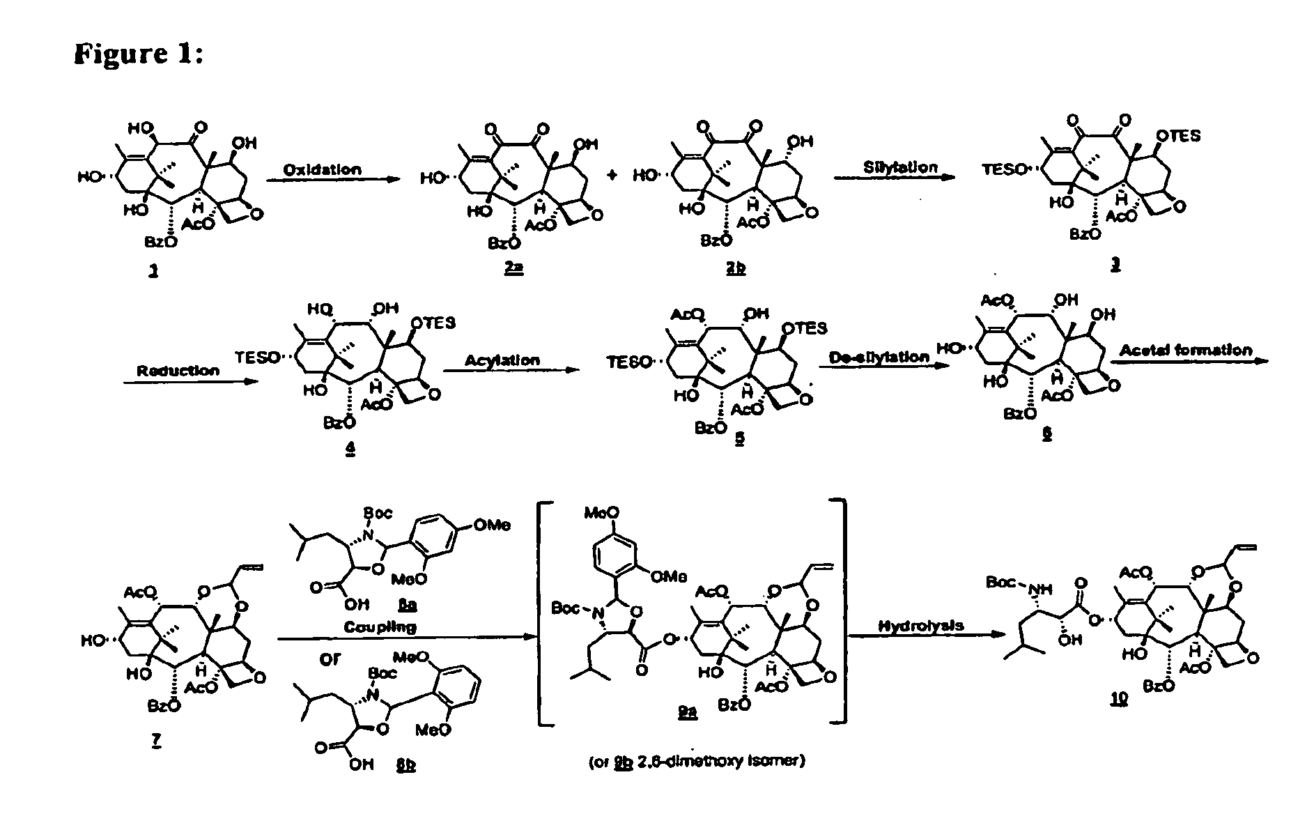 Convergent process for the synthesis of taxane derivatives.