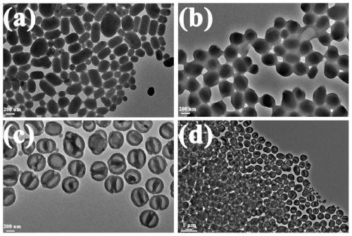 Polytetrafluoroethylene-based core-shell nano composite material as well as preparation method and application thereof