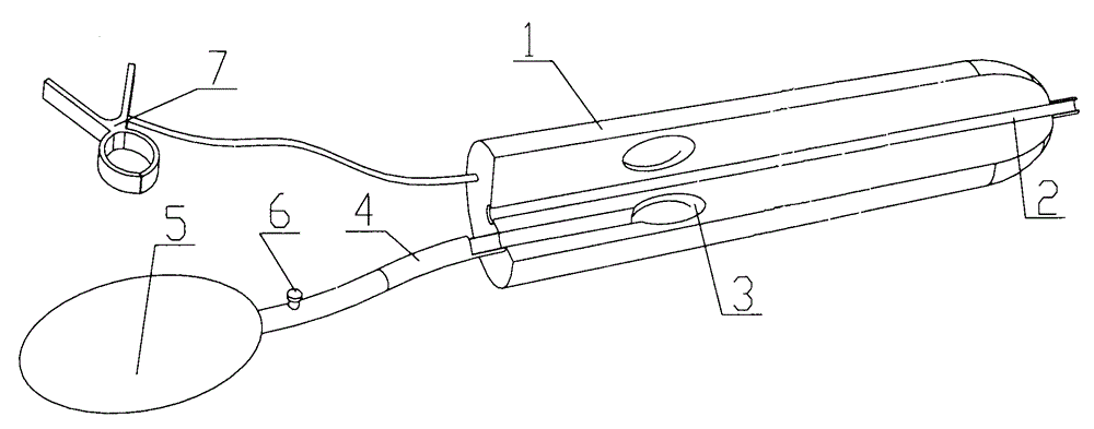 Canidae inseminator