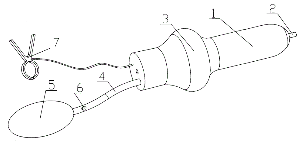 Canidae inseminator