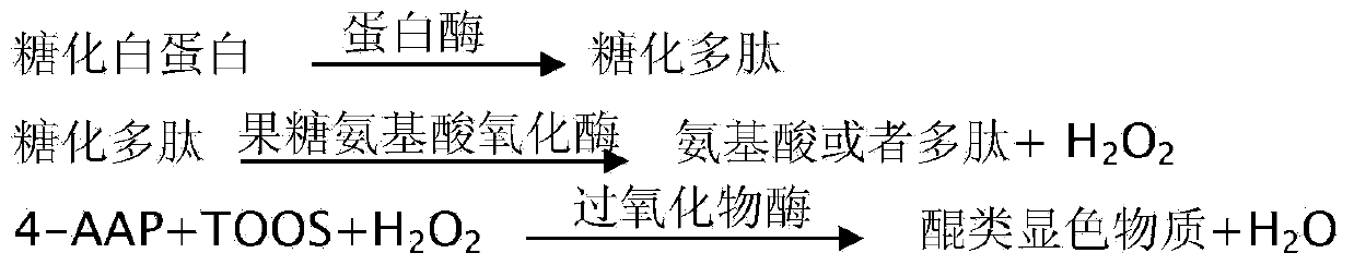 Fructose amino acid oxidase, preparation method and glycatedalbumin detection kit comprising oxidase