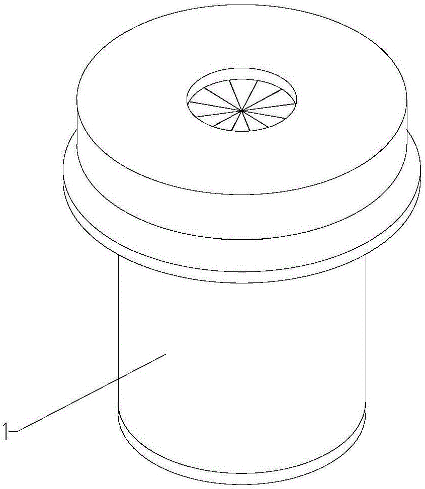 Water carrier suite and spray irrigation system