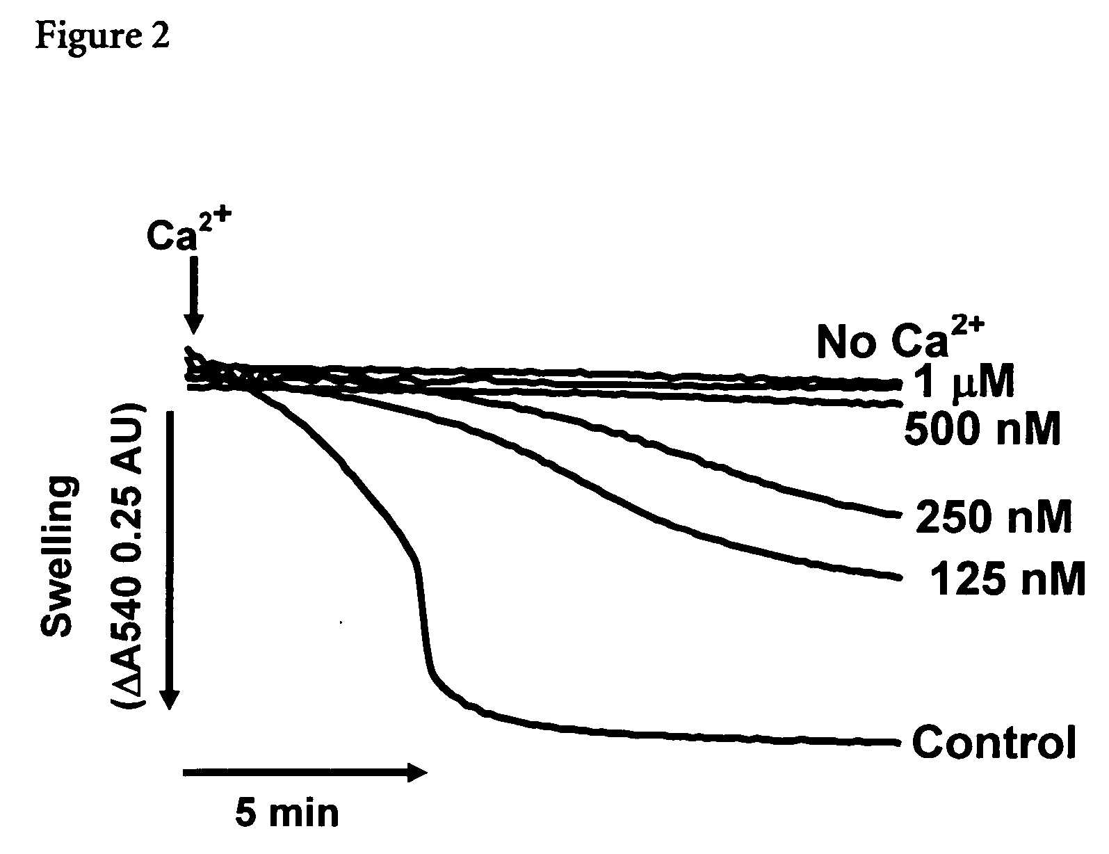 Mitochrondrial permeability transition pore affinity labels and modulators