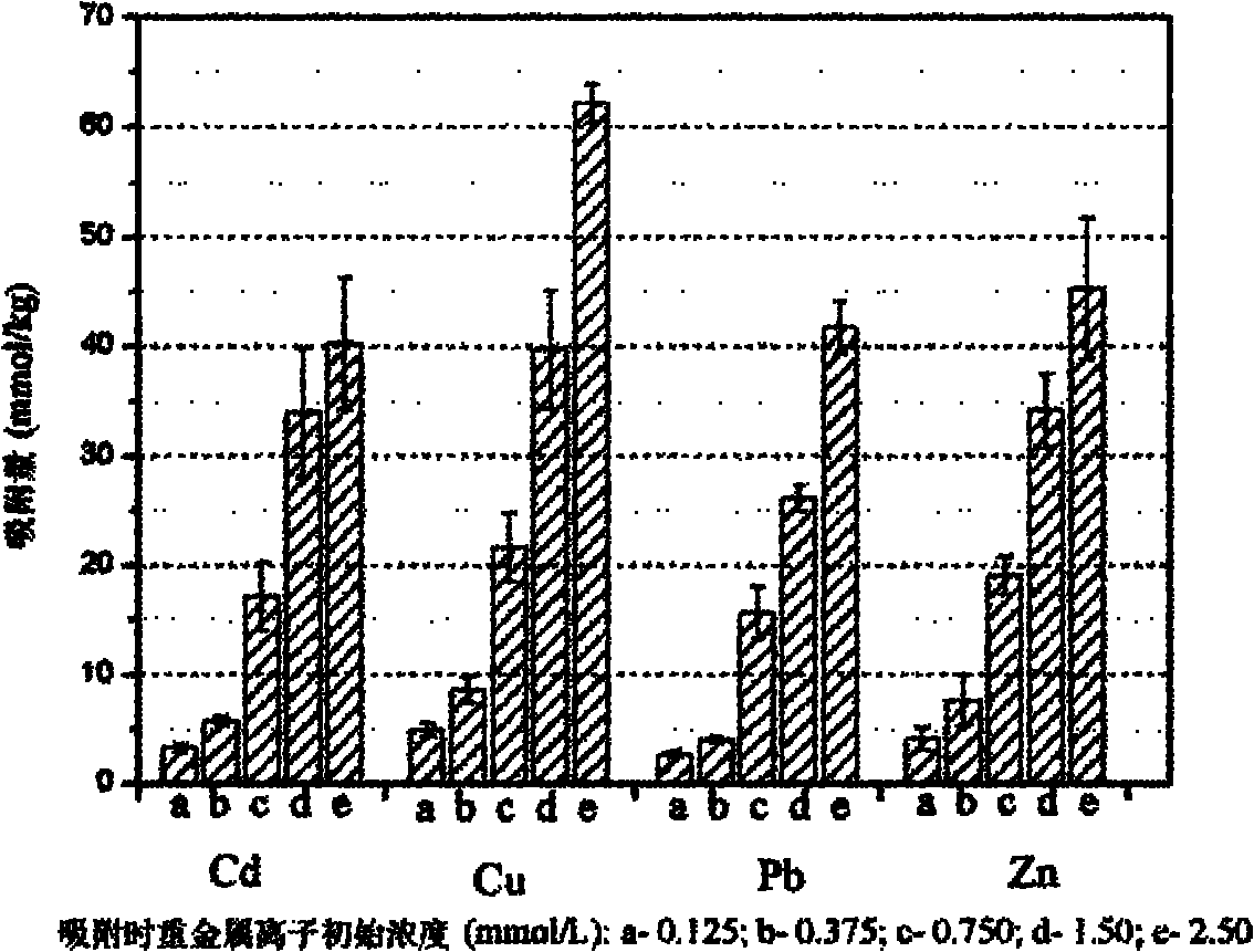 Modified chitosan material capable of absorbing heavy metal ions and preparation method thereof