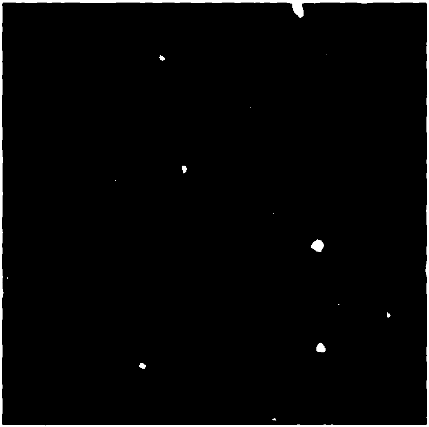 Method for preparing phthalocyanine monocrystal thin film on copper film modified graphene substrate