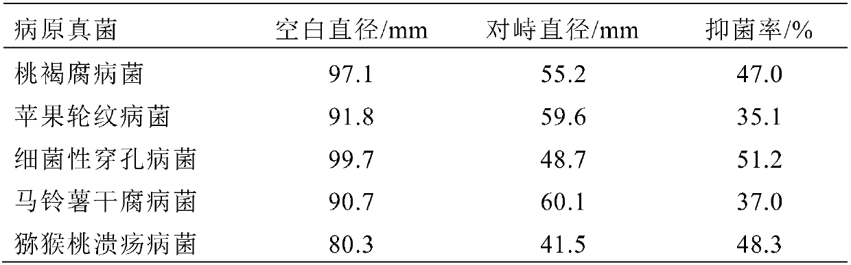 Penicillium oxalicum as well as preparation method and application thereof