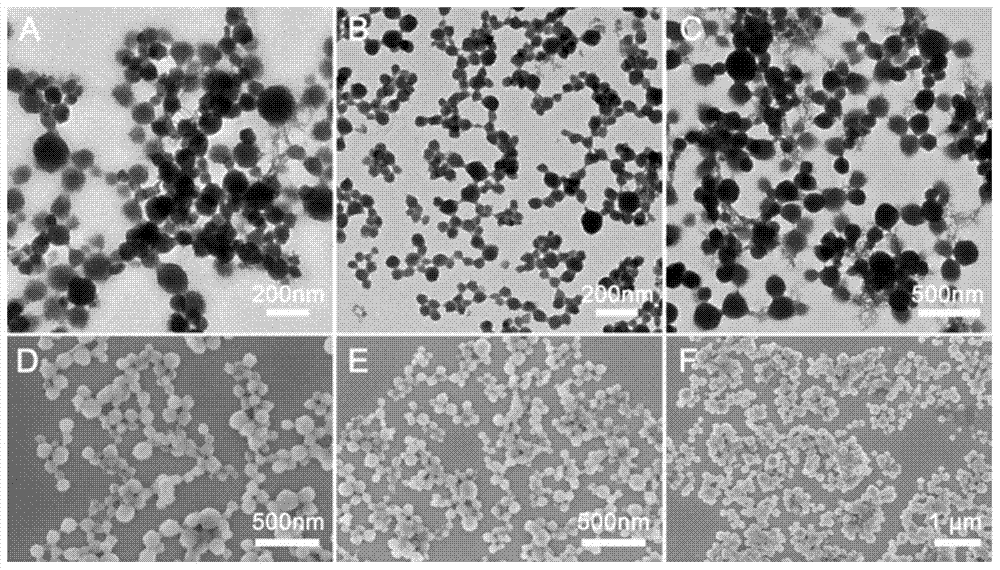 Cadmium alginate, lead alginate and copper alginate nanoparticles and their preparation method and application in the preparation of electrochemical immunoprobes