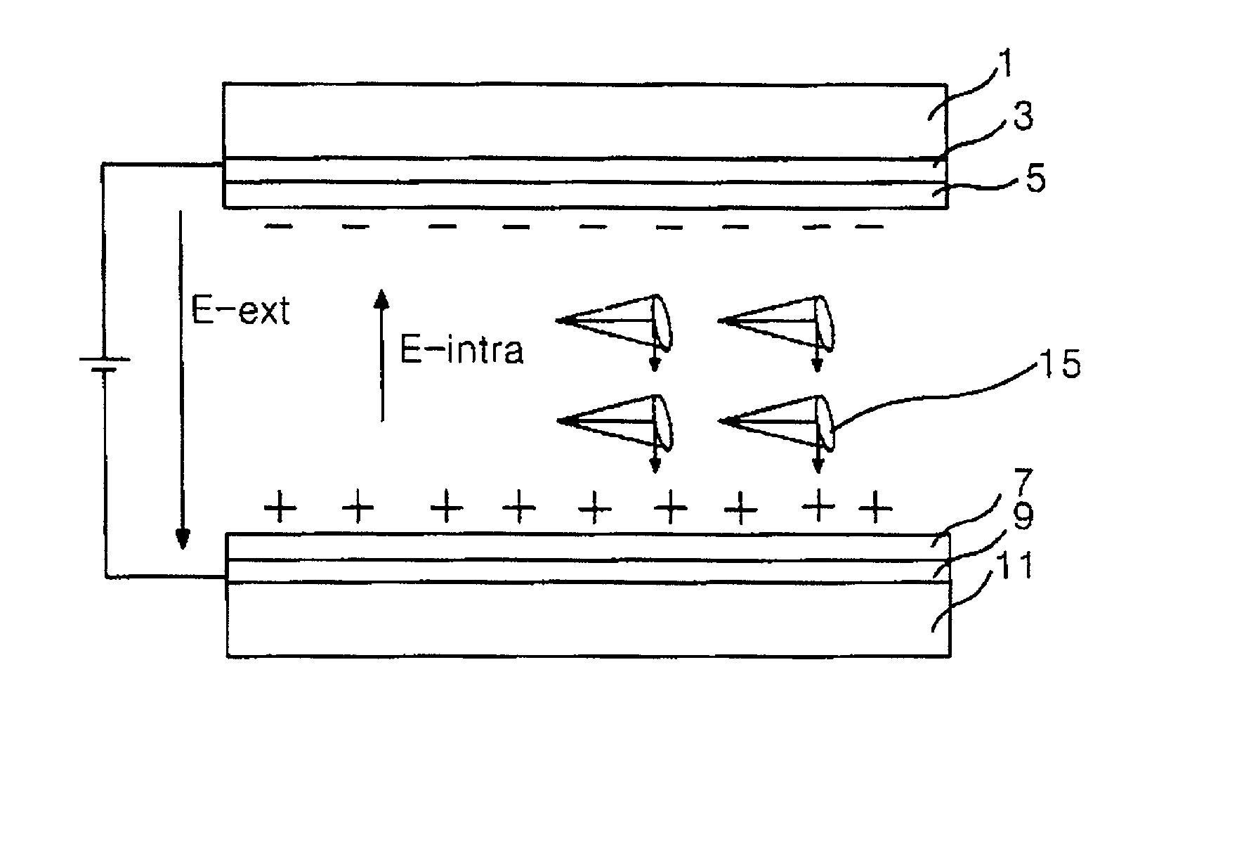 Ferroelectric liquid crystal display