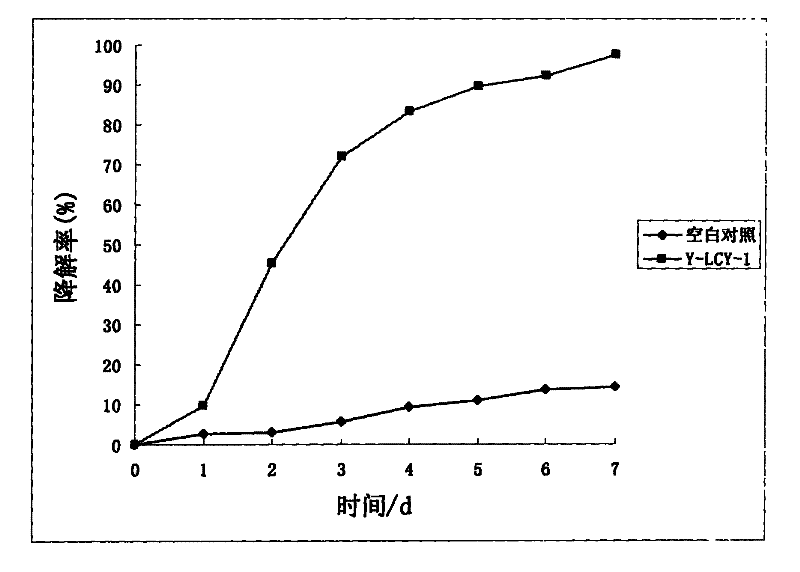 A strain of Rhododendron and its application in degrading butachlor