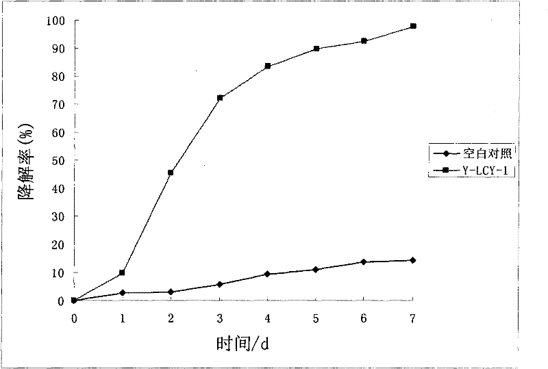 A strain of Rhododendron and its application in degrading butachlor