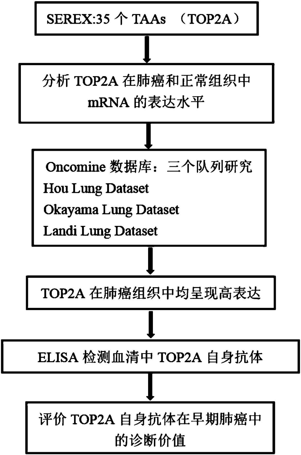 Application of TOP2A (Topoisomerase(DNA)II Alpha) autoantibody as lung cancer diagnostic marker