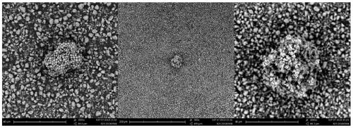 Non-migrating hydrophilic anti-fogging master batch for polyolefin film and preparation thereof