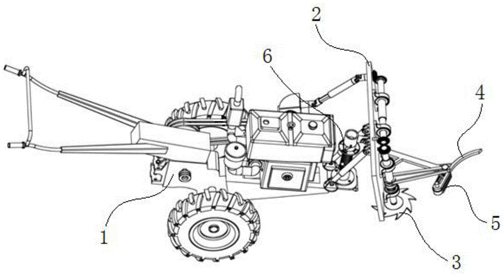 Mulberry shoot cutter