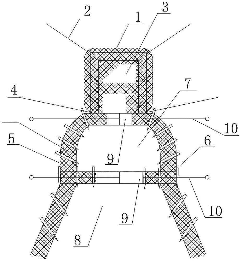 Large water surface trapping Wuchang bream device