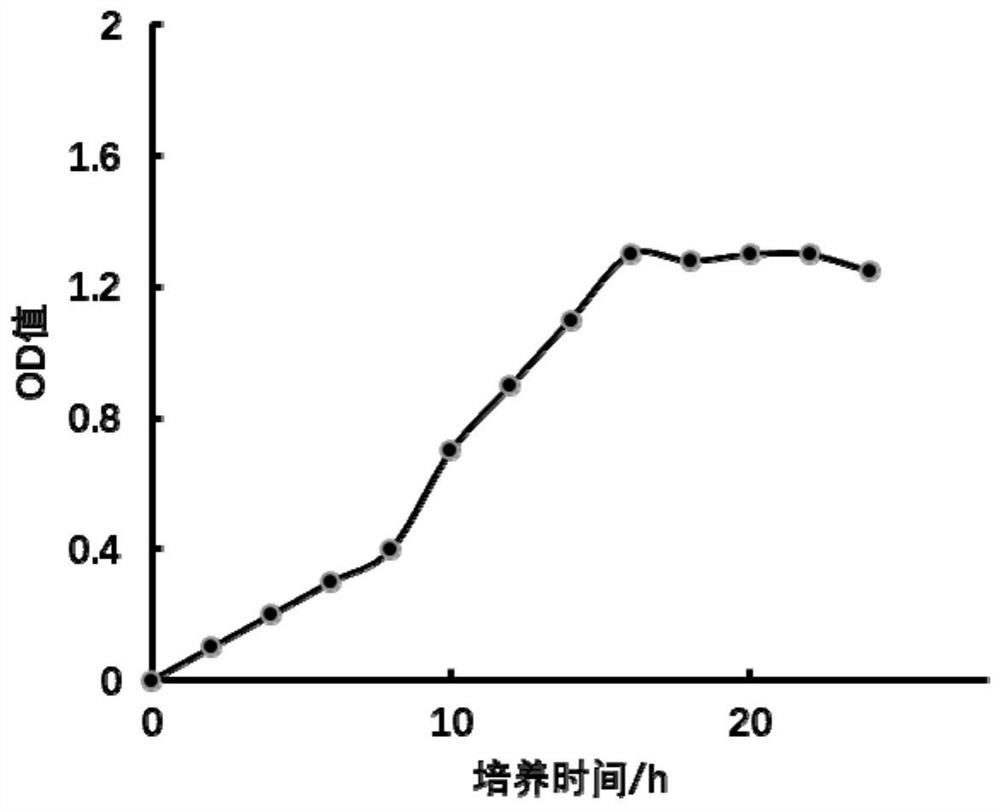 Fermented milk powder and preparation method thereof