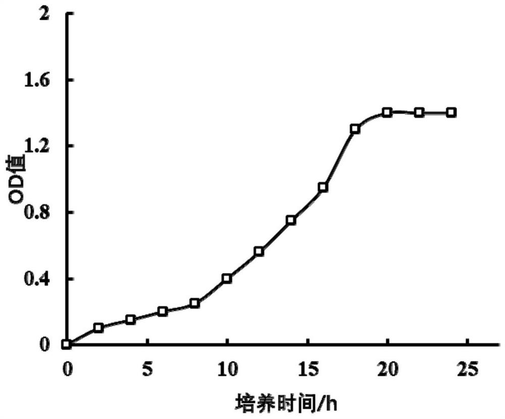 Fermented milk powder and preparation method thereof