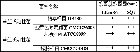 Micromolecule synthesized anti-microbial peptide, as well as preparation method and application thereof