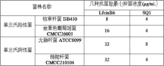 Micromolecule synthesized anti-microbial peptide, as well as preparation method and application thereof