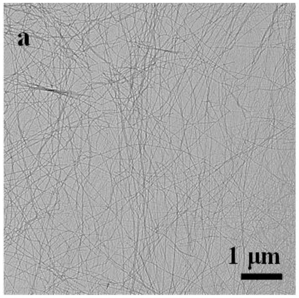 Preparation method of amyloid fiber iron oxide composite film and method for removing phosphate in tail water of municipal sewage treatment plant