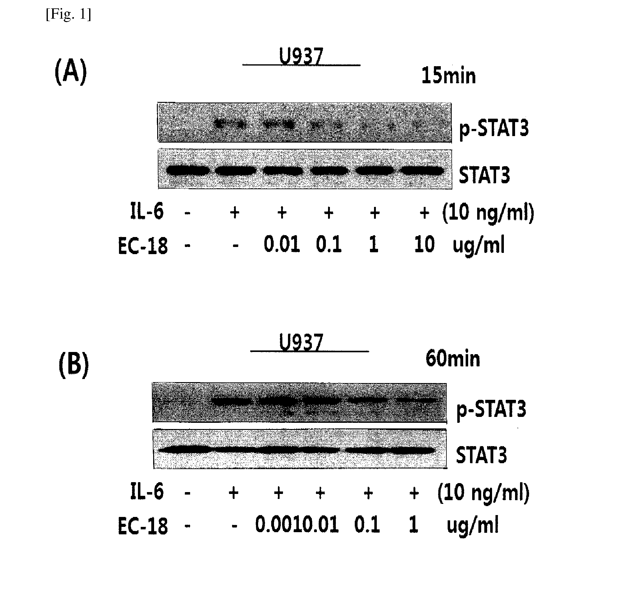 Compositions containing monoacetyldiacylglycerol compound as an active ingredient for preventing or treating rheumatoid arthritis