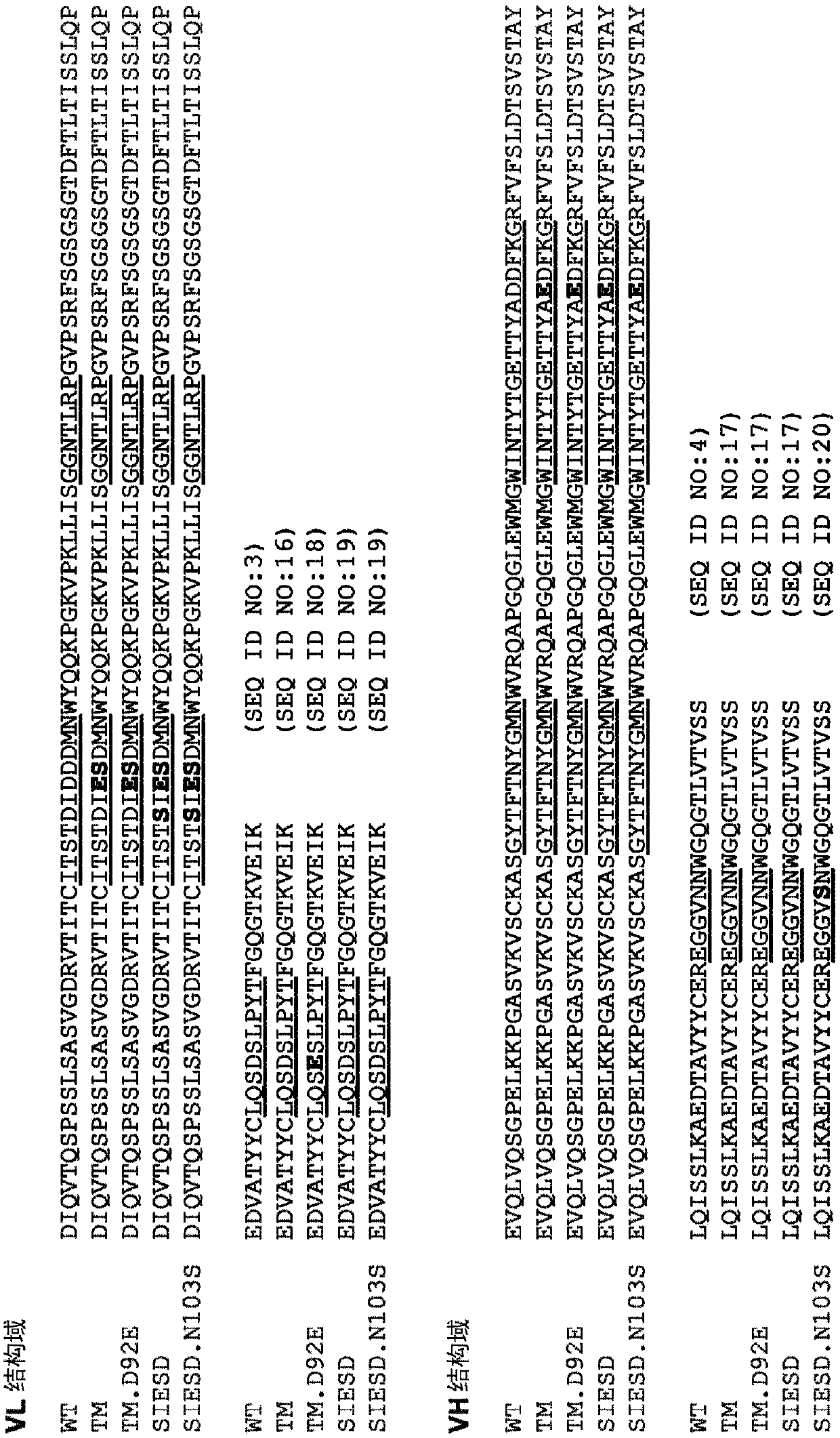 Anti-factor D antibody variants and uses thereof