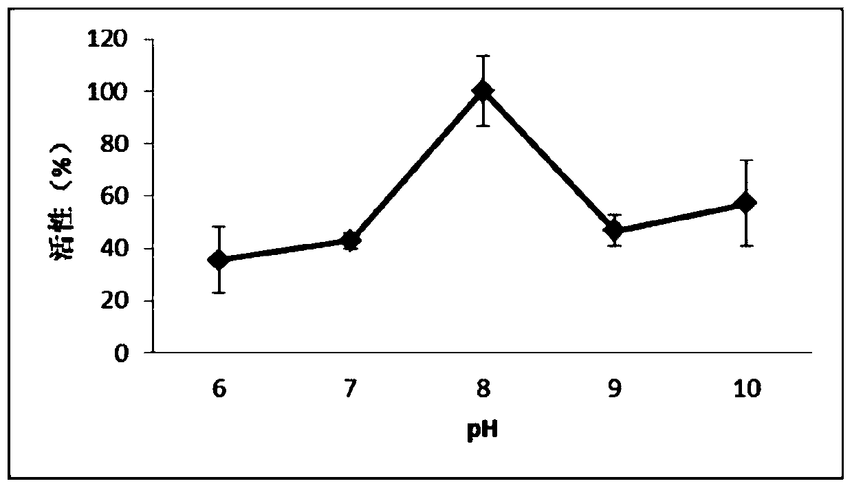 Gene encoding phosphoglucomutase in kelp, its protein and application