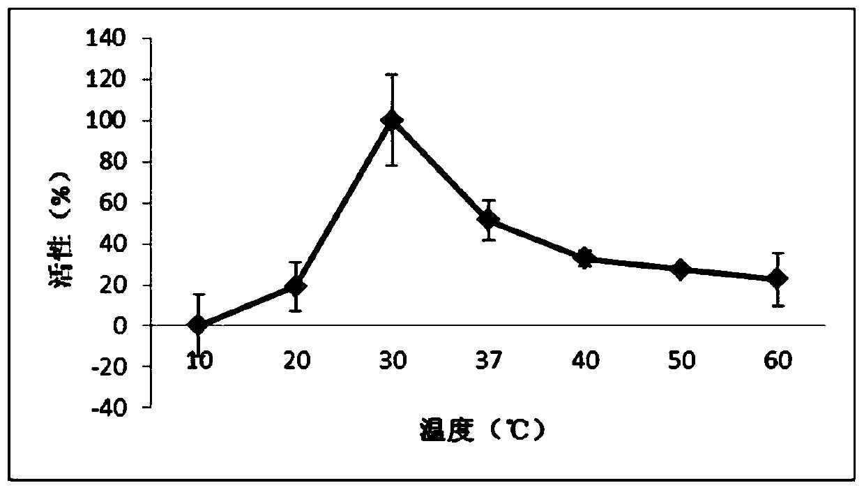 Gene encoding phosphoglucomutase in kelp, its protein and application