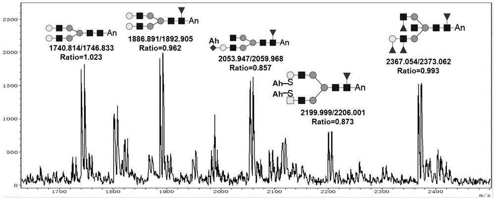 Method for relatively quantitatively analyzing carbohydrate chain in two-end labeling manner