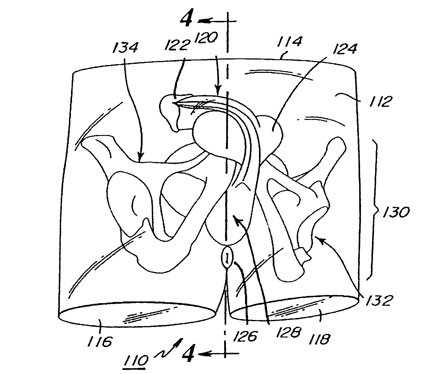 Abdominopelvic region male anatomic model