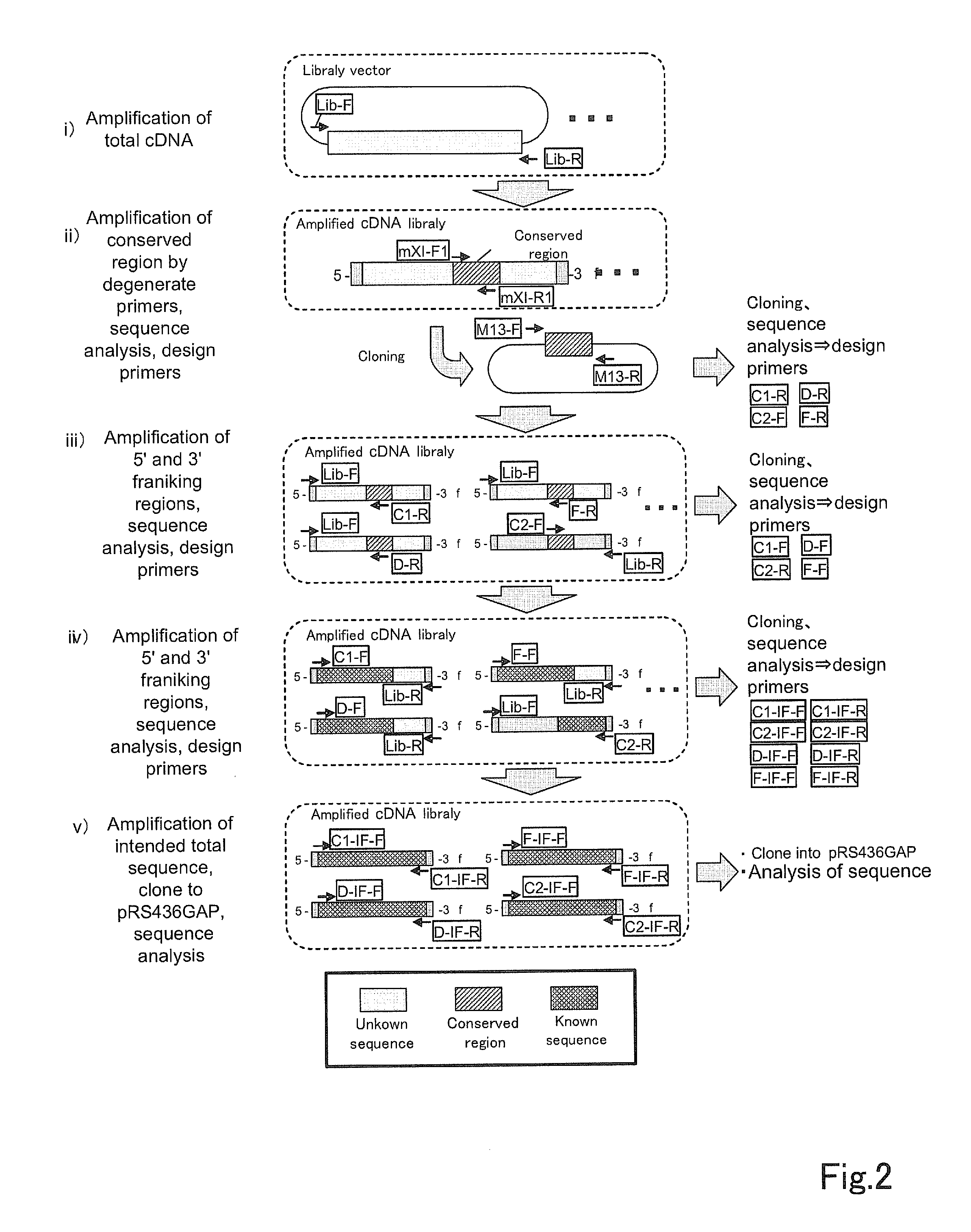 Xylose isomerase and use thereof