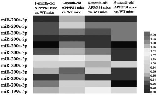 Application of miRNA 200 cluster as marker for diagnosing and/or treating Alzheimer's disease