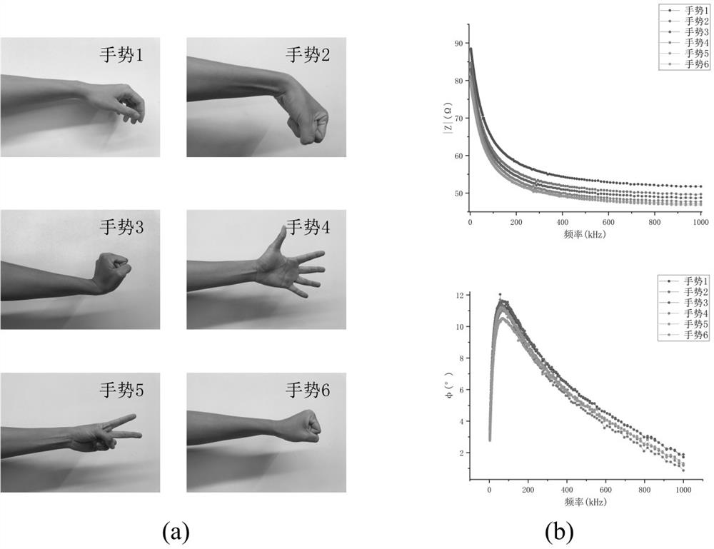 Gesture recognition system and method based on muscle electrical impedance signals