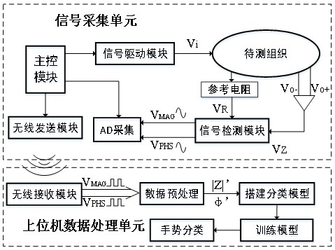 Gesture recognition system and method based on muscle electrical impedance signals