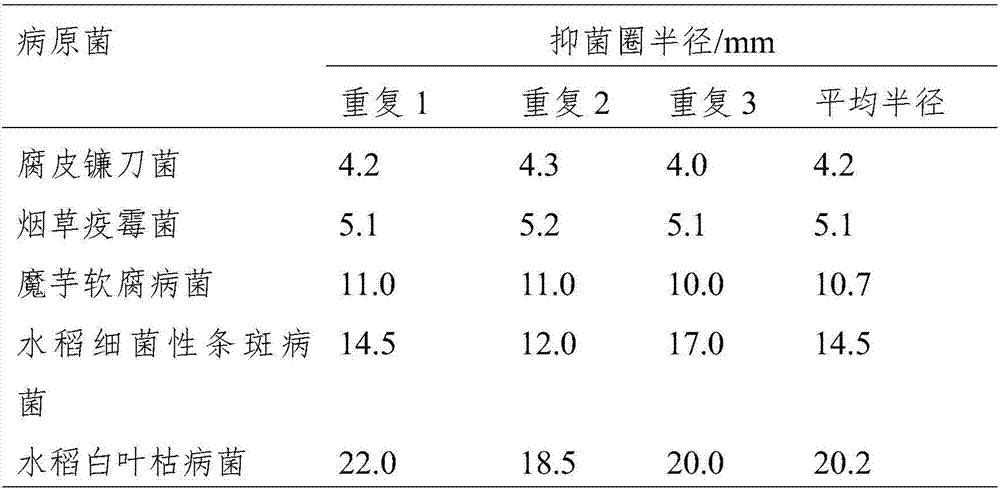 Bacillus velezensis strain JN5 and application thereof