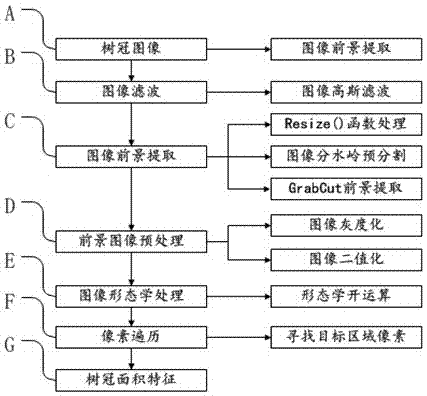 A Method for Measurement of Fruit Tree Canopy Volume Based on Image Analysis