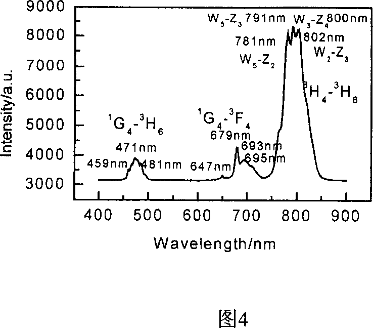 Rare earth ion doped YAG micro crystalline glass and its preparation method