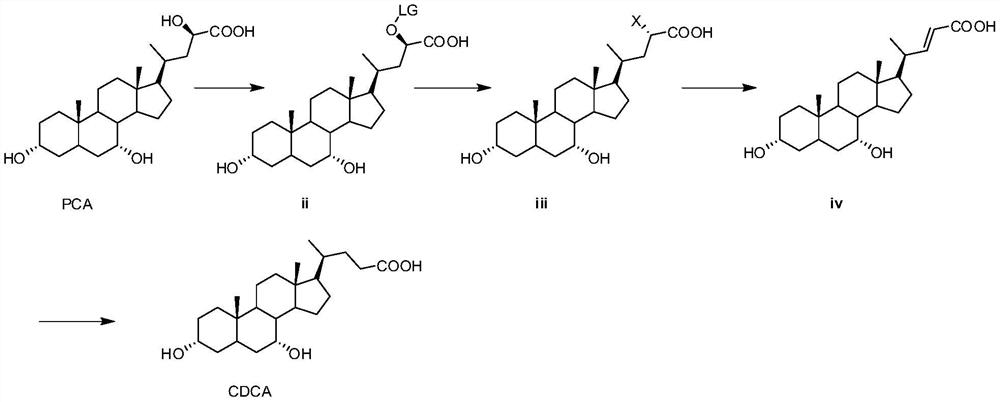 Method for preparing chenodeoxycholic acid from seal cholic acid