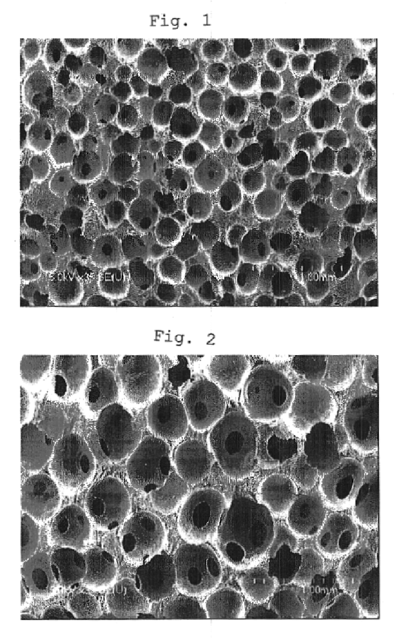 Carbon foam, graphite foam and production processes of these