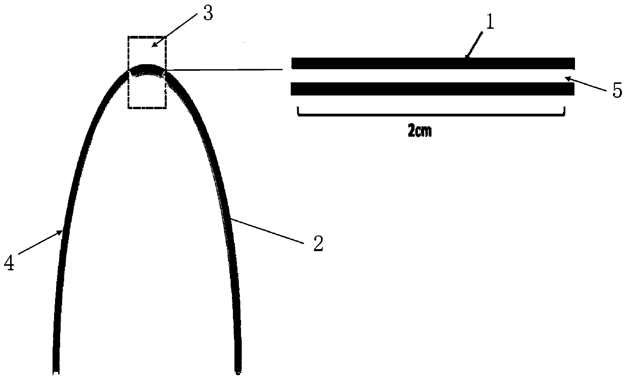 Roughened tapered macro-bend optical fiber ethanol gas sensor based on polypyrrole film modification