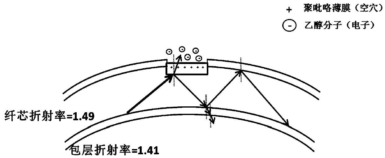 Roughened tapered macro-bend optical fiber ethanol gas sensor based on polypyrrole film modification