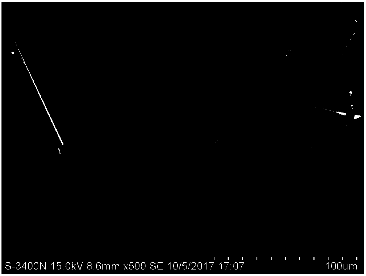 Carbon fiber sizing agent and preparation method thereof, carbon fiber reinforced polypropylene composite material and preparation method of carbon fiber reinforced polypropylene composite material