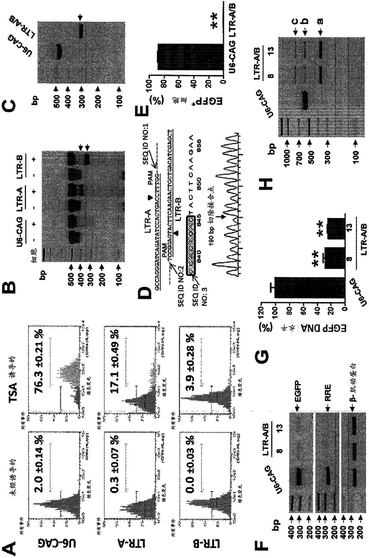 Methods and compositions for rna-guided treatment of HIV infection