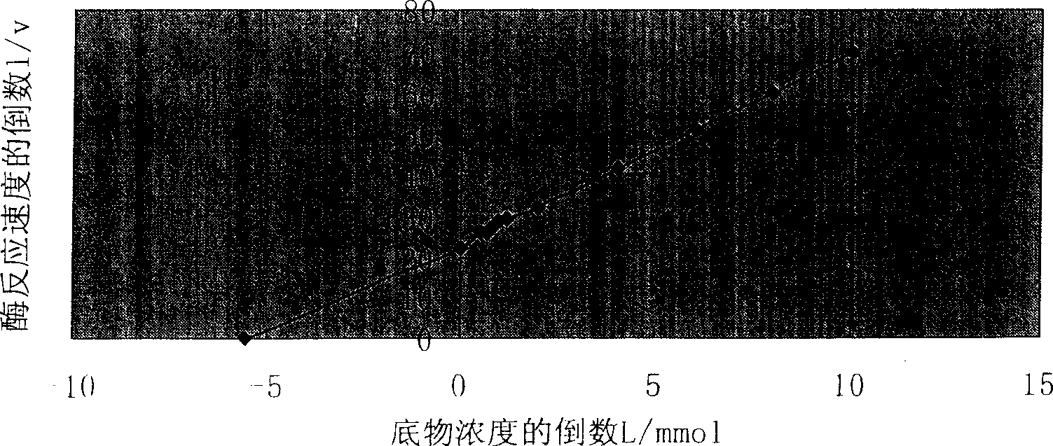 Serum starch enzyme reagent kit and preparation method thereof