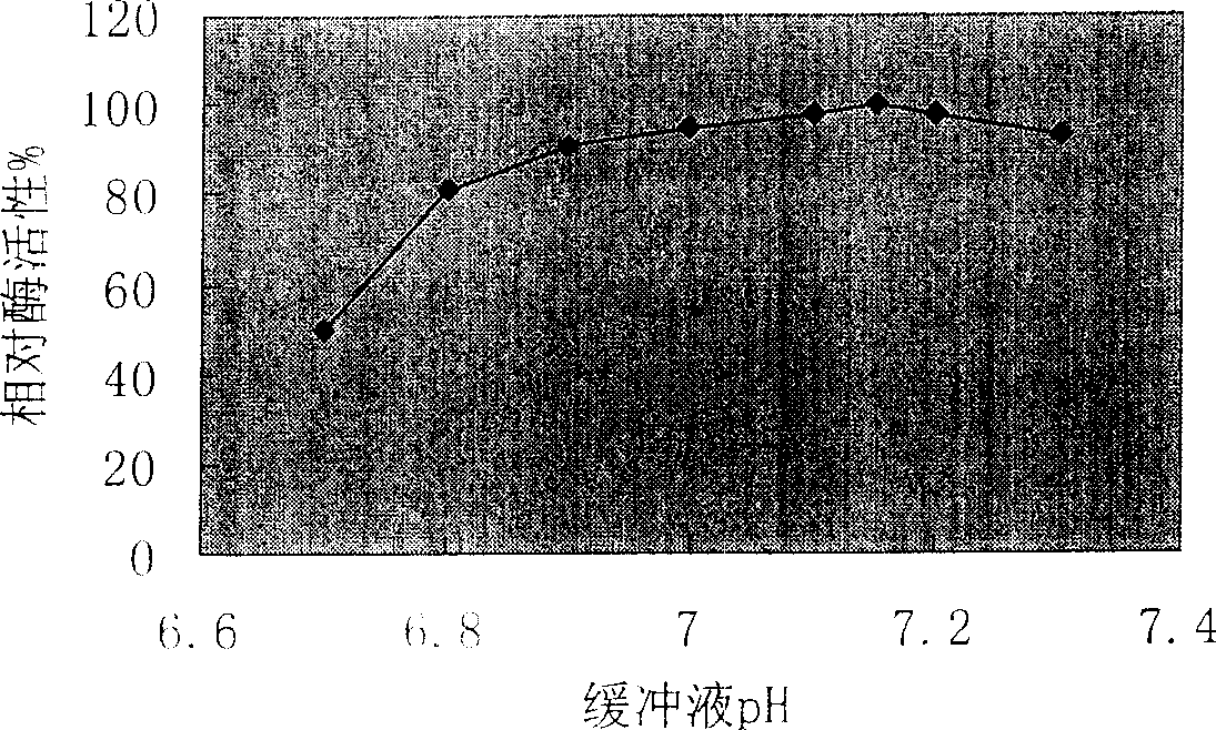 Serum starch enzyme reagent kit and preparation method thereof