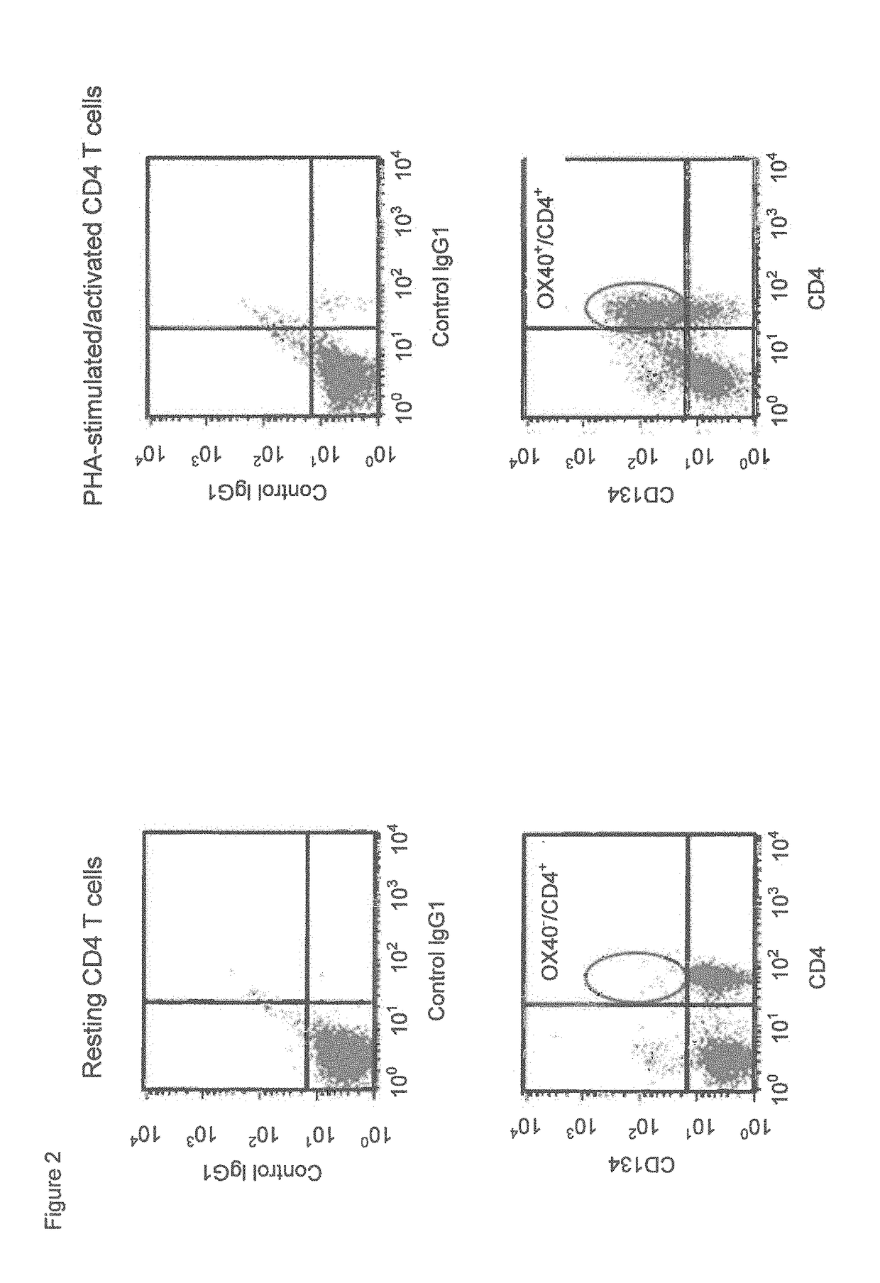 Humanized anti-CD134 (OX40) antibodies and uses thereof