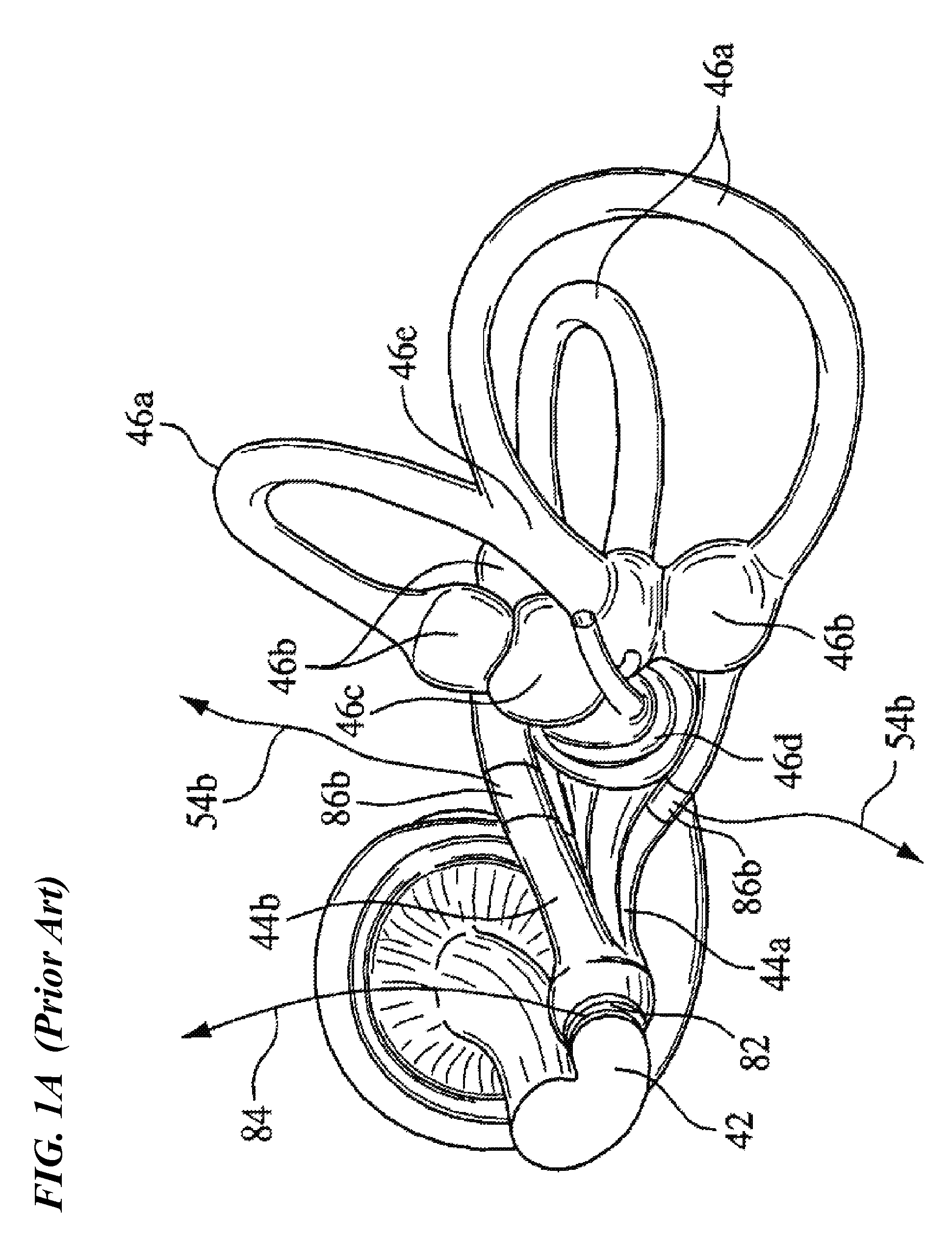 Method and vestibular implant using optical stimulation of nerves