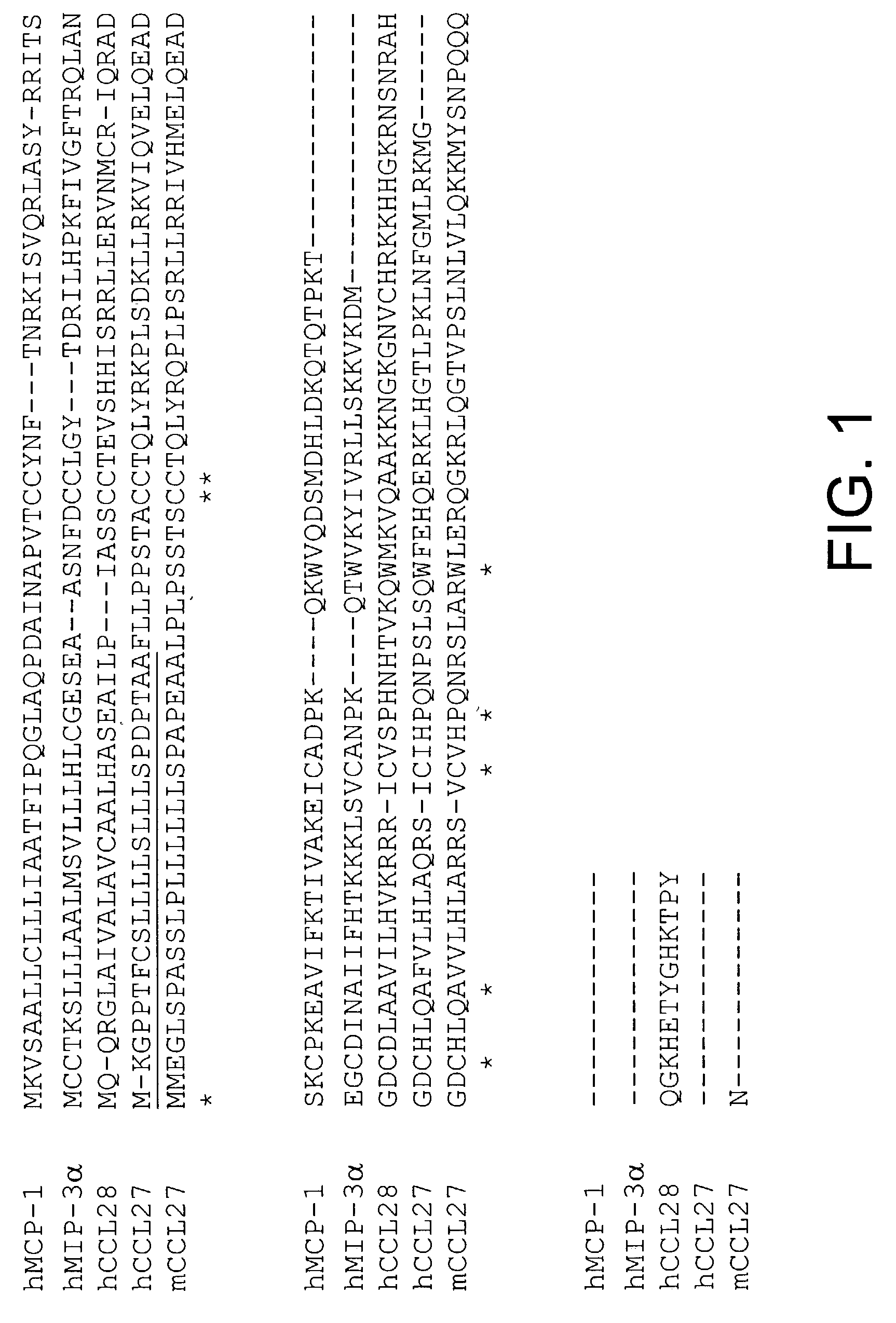 CCL27 polypeptides