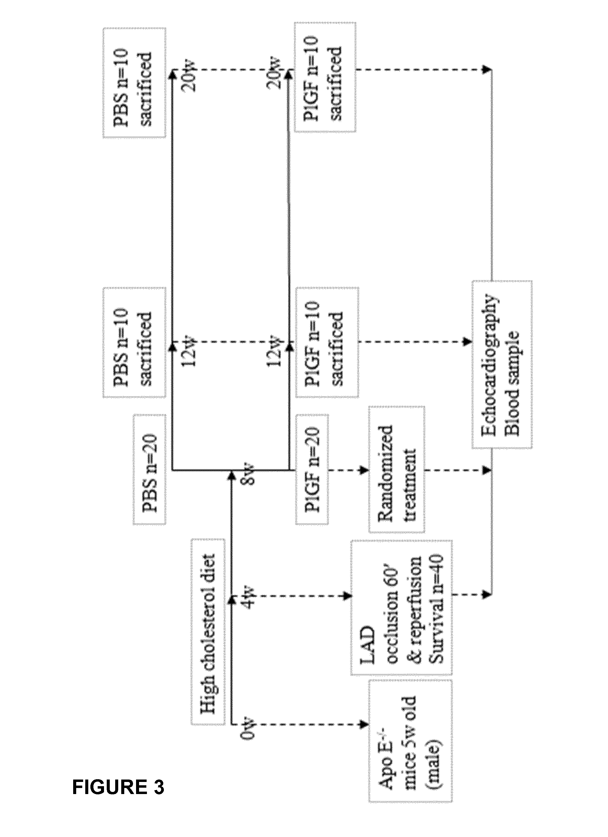 Heart failure treatment