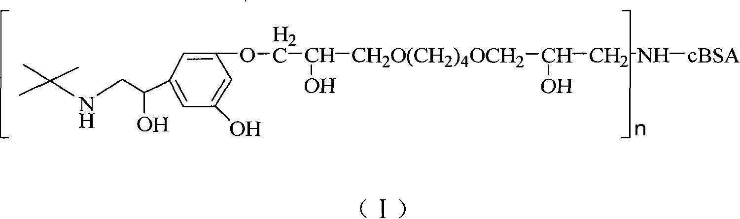 Terbutaline conjugate and its preparation method and uses