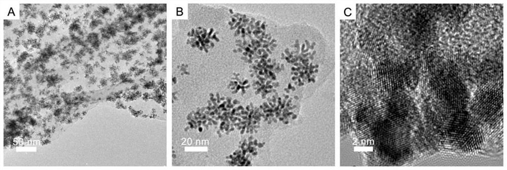 Preparation method of titanium carbide loaded platinum-palladium nanoflower electrode catalyst